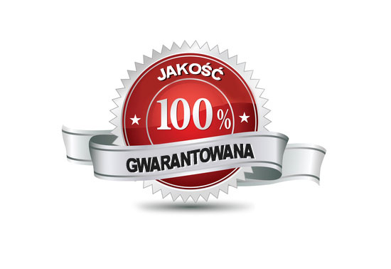 100% jakości BCS SKRZYNIE BIEG&Oacute;W