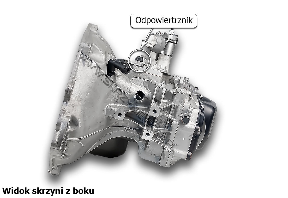 Wlewanie oleju do skrzyni biegów Opel F17 - 7