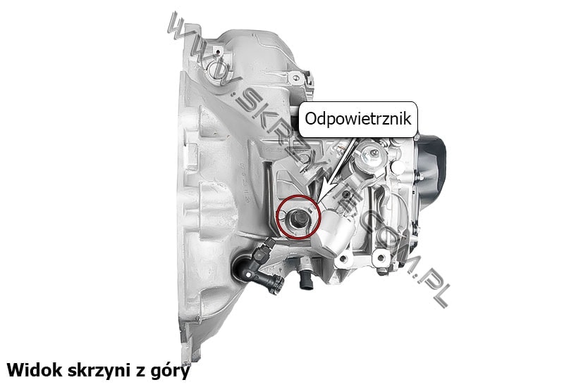 Korki olejowe - skrzynia biegów Opel F17 - 4