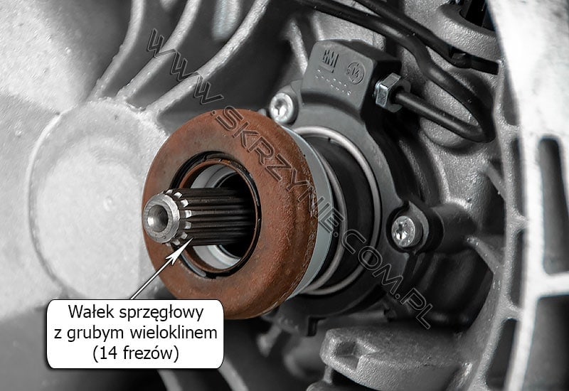 Różnice w wałkach sprzęgłowych skrzyni biegów Opel F17 - 2