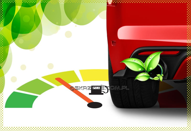 Olej ELF TRANSELF NFX 75W