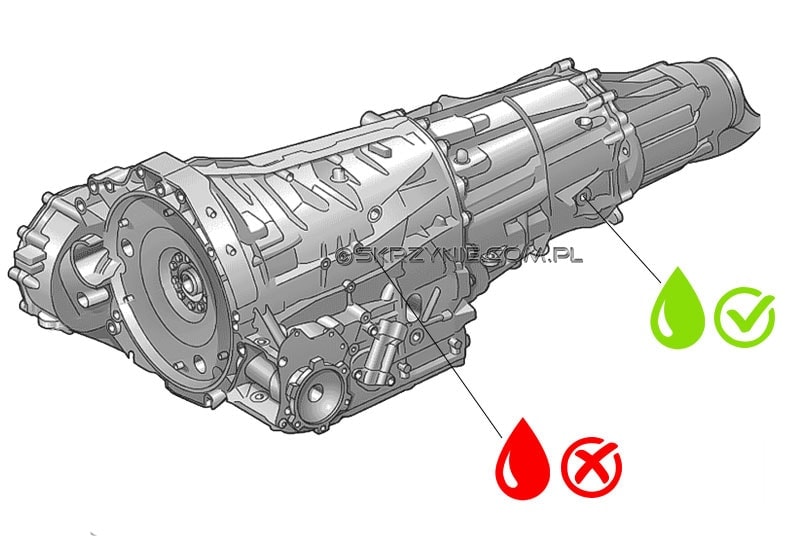 Olej G055532 do skrzyń S-TRONIC