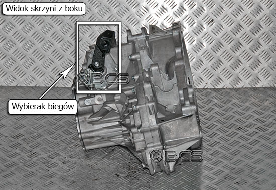 Skrzynia biegów D33 korki olejowe 1