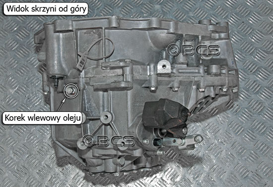 Skrzynia biegów D33 korki olejowe 2