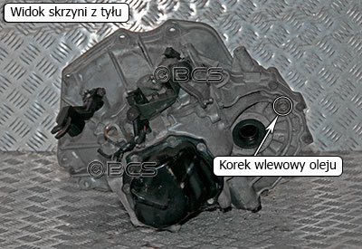 Korki olejowe w skrzyni F12 1