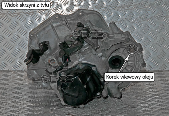 Skrzynia biegów F12 korki olejowe 1