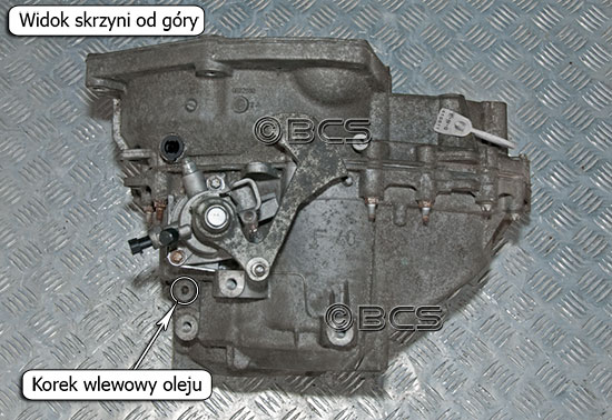 Skrzynia biegów F40 korki olejowe 1