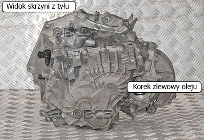 Korki olejowe w skrzyni M20 1