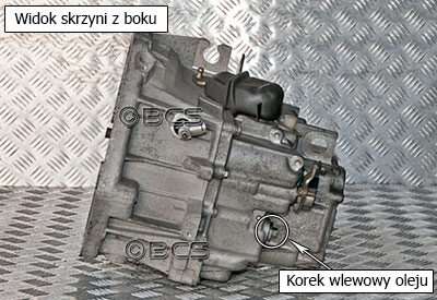 Korki olejowe w skrzyni PF1 1